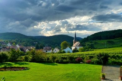 Ferienweingut Cuntz 