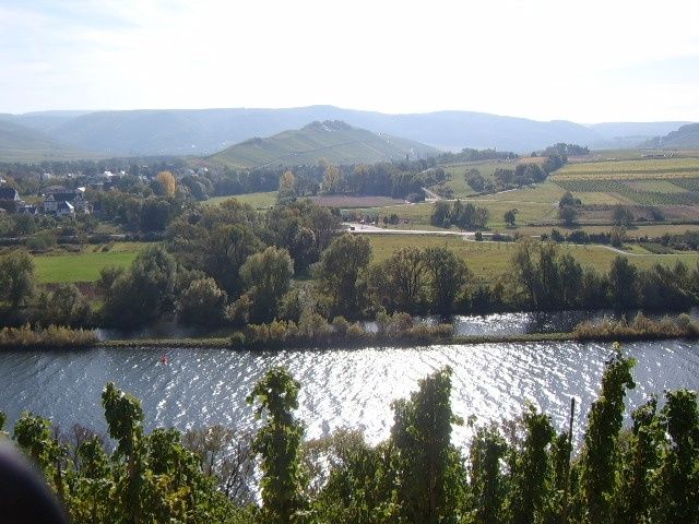 Die Mosel