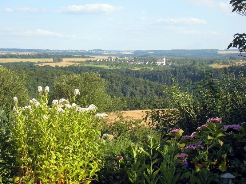 Ausblick vom Garten