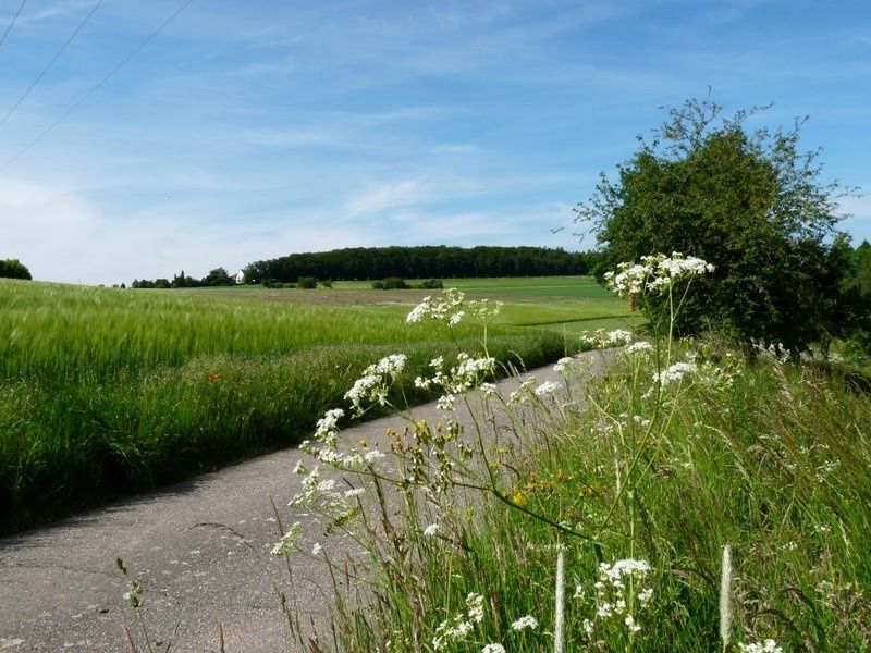 gute Wege laden zum Wandern ein