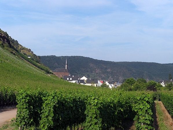 Mosel, Urlaub, Wein und mehr