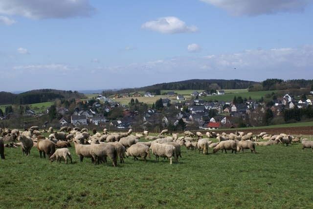 Kur- und Verkehrsverein Freilingen an der Westerwälder Seenplatte