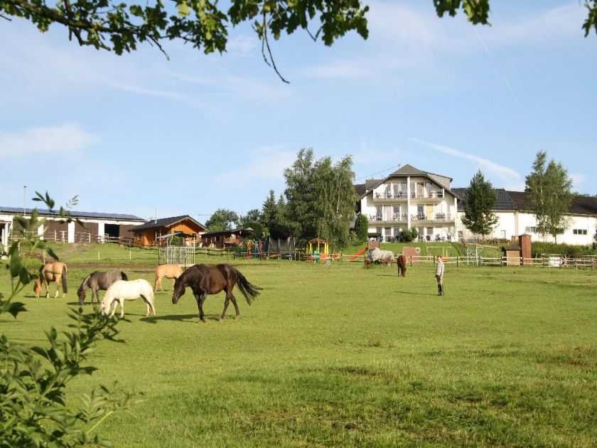 Michelshof Schneeifel - Ferienwohnungen