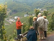 Weinbergswanderung