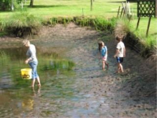 Forschen im Badeweiher