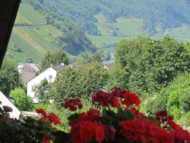 BARRIEREFREIE FERIENWOHNUNG LAVENDEL MIT PFLEGEBETT, MOSELBLICK, für Gäste mit eingeschränkter Beweglichkeit -  Rollstuhlfahrer -   kostenloses WLAN - Ferienweingut