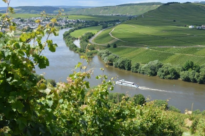 Weingut & Pension Günther Scholtes