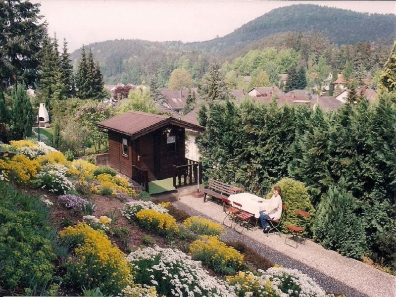 Ferienwohnung Blau - Gemütliche Unterkunft für Ihren Wanderurlaub in der Pfalz