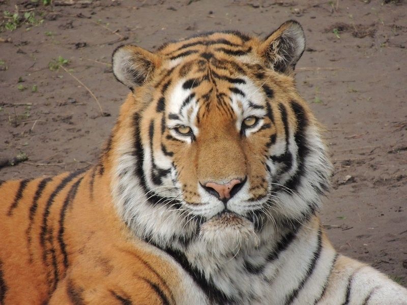 Bild: Zoo Landau in der Pfalz