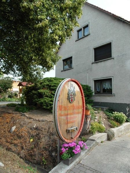 Ökologisches Weingut und Gästehaus Blasius