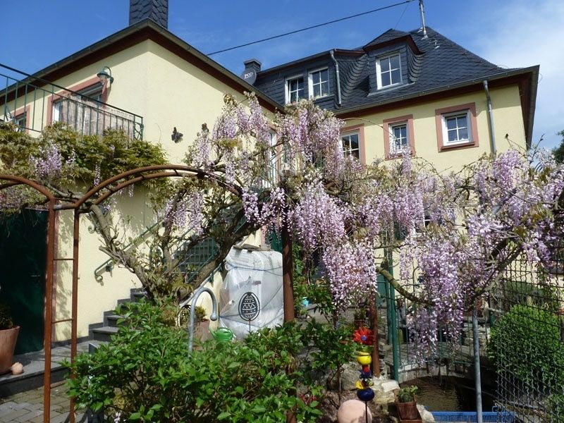 Ferienmühle - Ferienwohnung