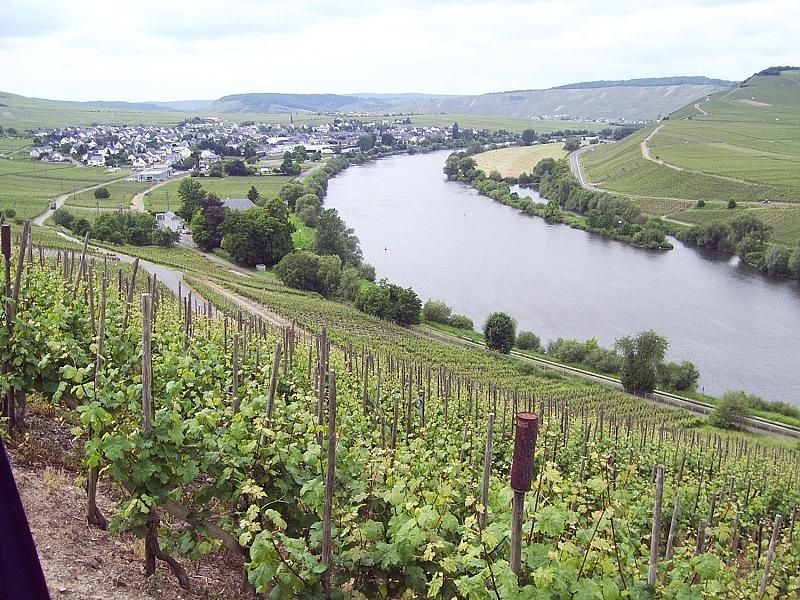 Weingut & Gästehaus Alexanderhof in Leiwen an der Mosel