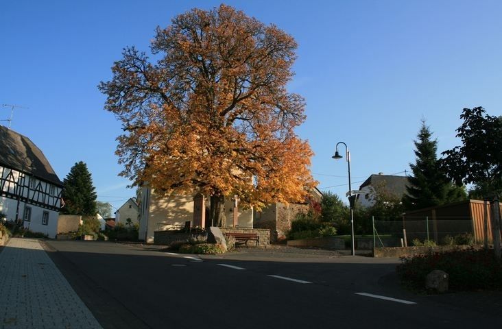 Ferienwohnungen Schlössershof in der Vulkaneifel