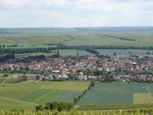 Weingut Marco Pfennig - Winzer aus Leidenschaft