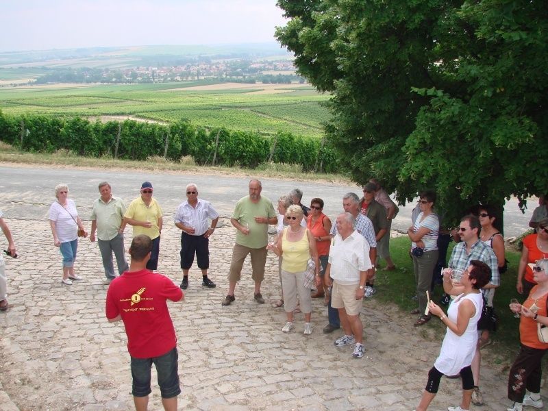 Weingut Marco Pfennig - Winzer aus Leidenschaft