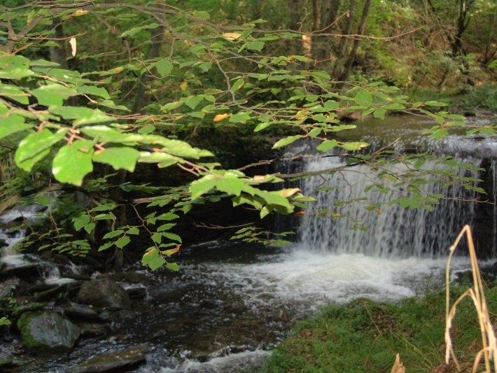 Ferienhäuser am Baybachtal