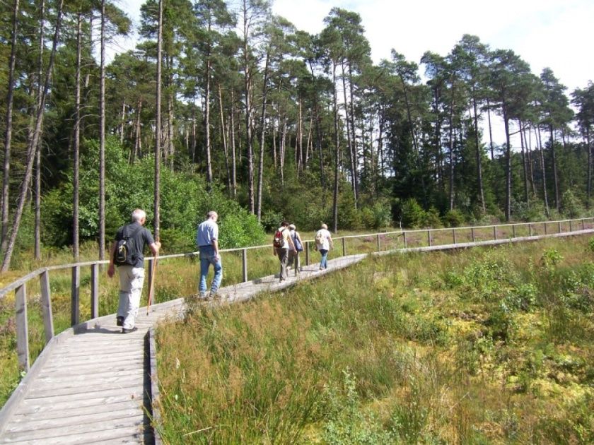 Blick über Stadtkyll