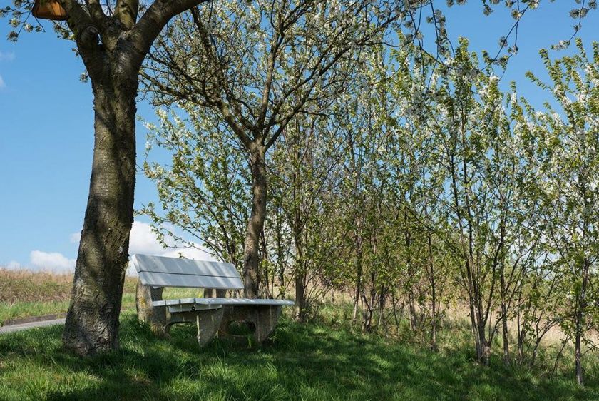 Weingut und Gästehaus Edwin und Brunhilde Hoffmann