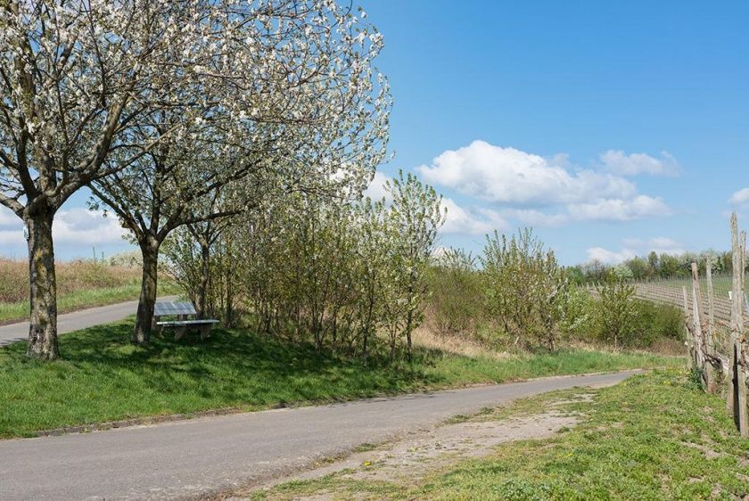 Weingut und Gästehaus Edwin und Brunhilde Hoffmann