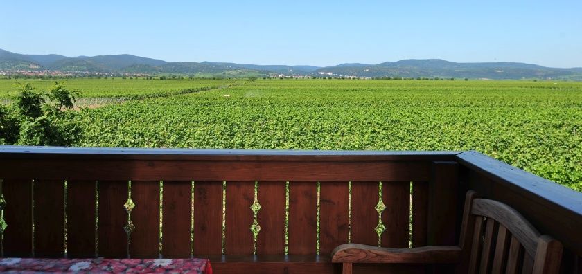 Weingut & Gästehaus - Im Schloßgarten