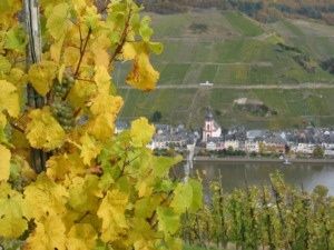 Blick auf die Mosel