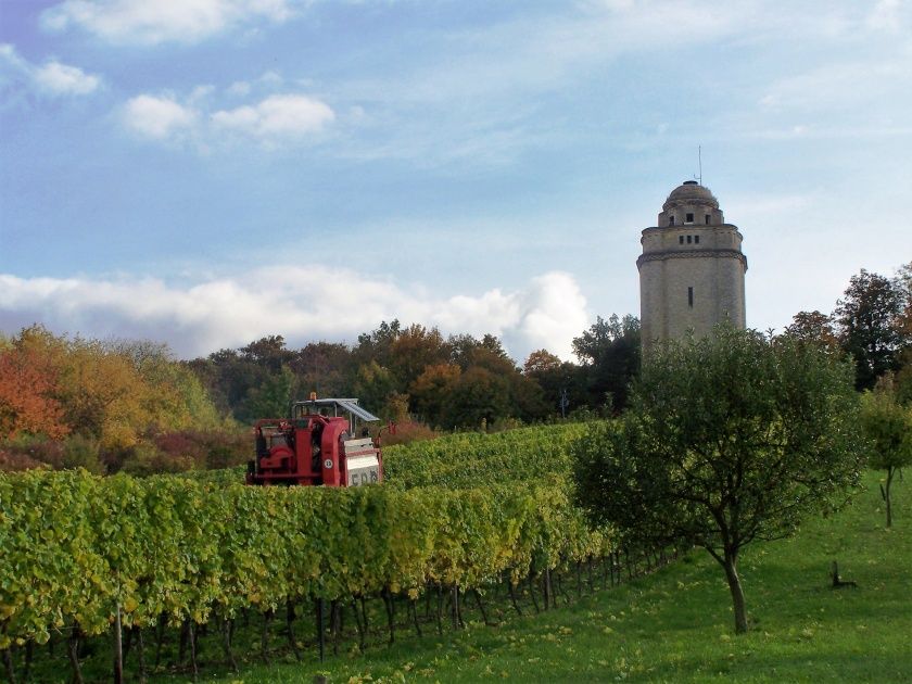 Weingut Markus Eppert