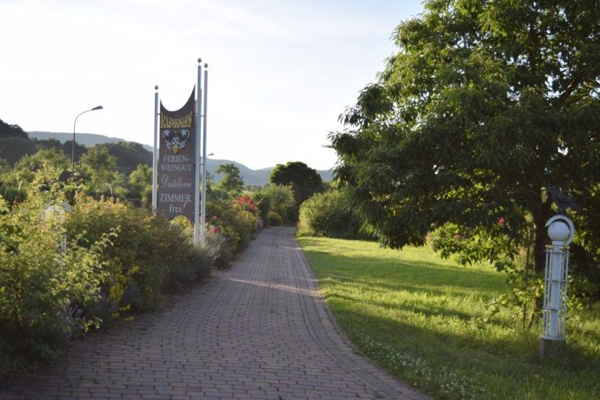 Weingut & Gästezimmer Raevenhof