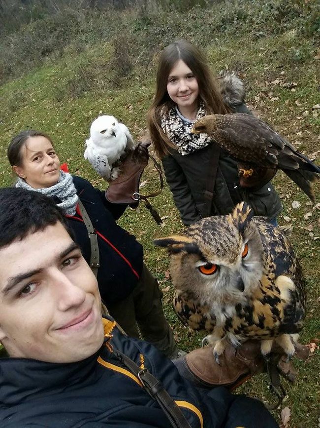 Greifvogelpark Saarburg - Greifvögel hautnah erleben!