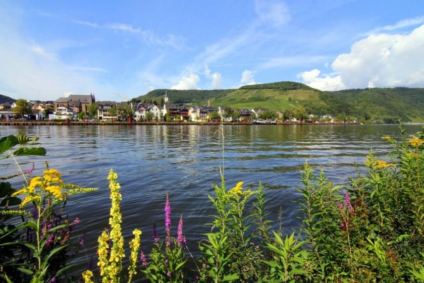 Weingut Villa Hausmann Mosel bei Cochem