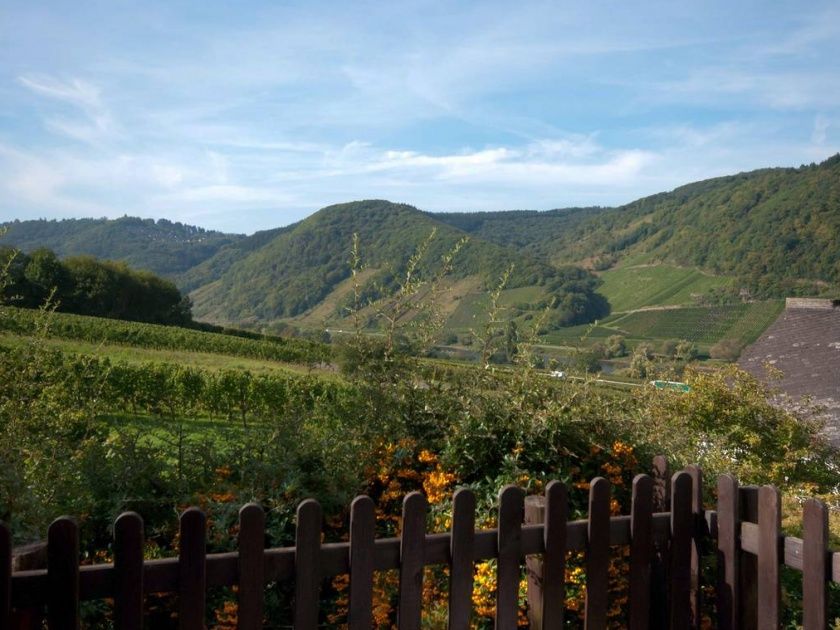 Ferienweingut Heidhof in Burg an der Mosel