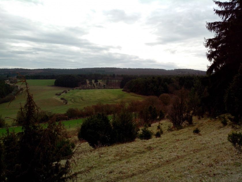 Auf dem Hönselberg