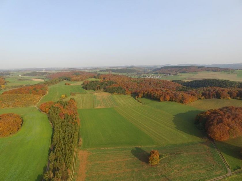 Ferienwohnung Firmenich