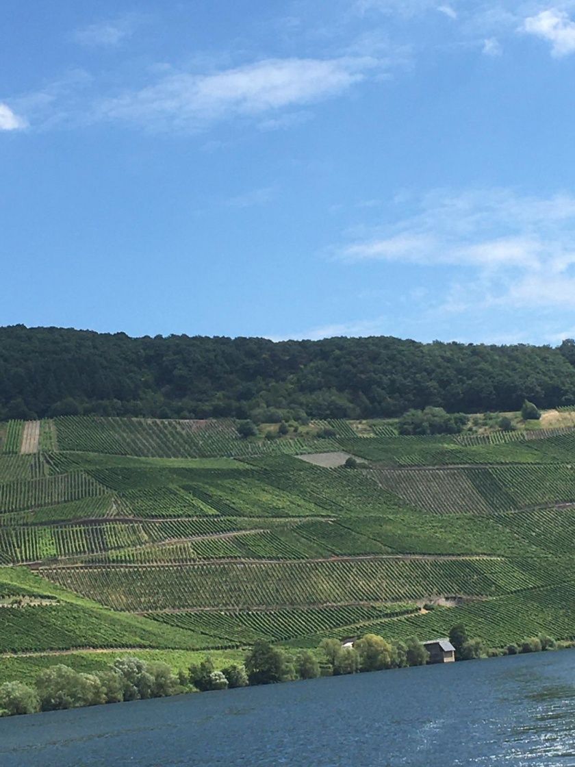 Ferienwohnung Riesling im Gästehaus Heidi an der Mosel