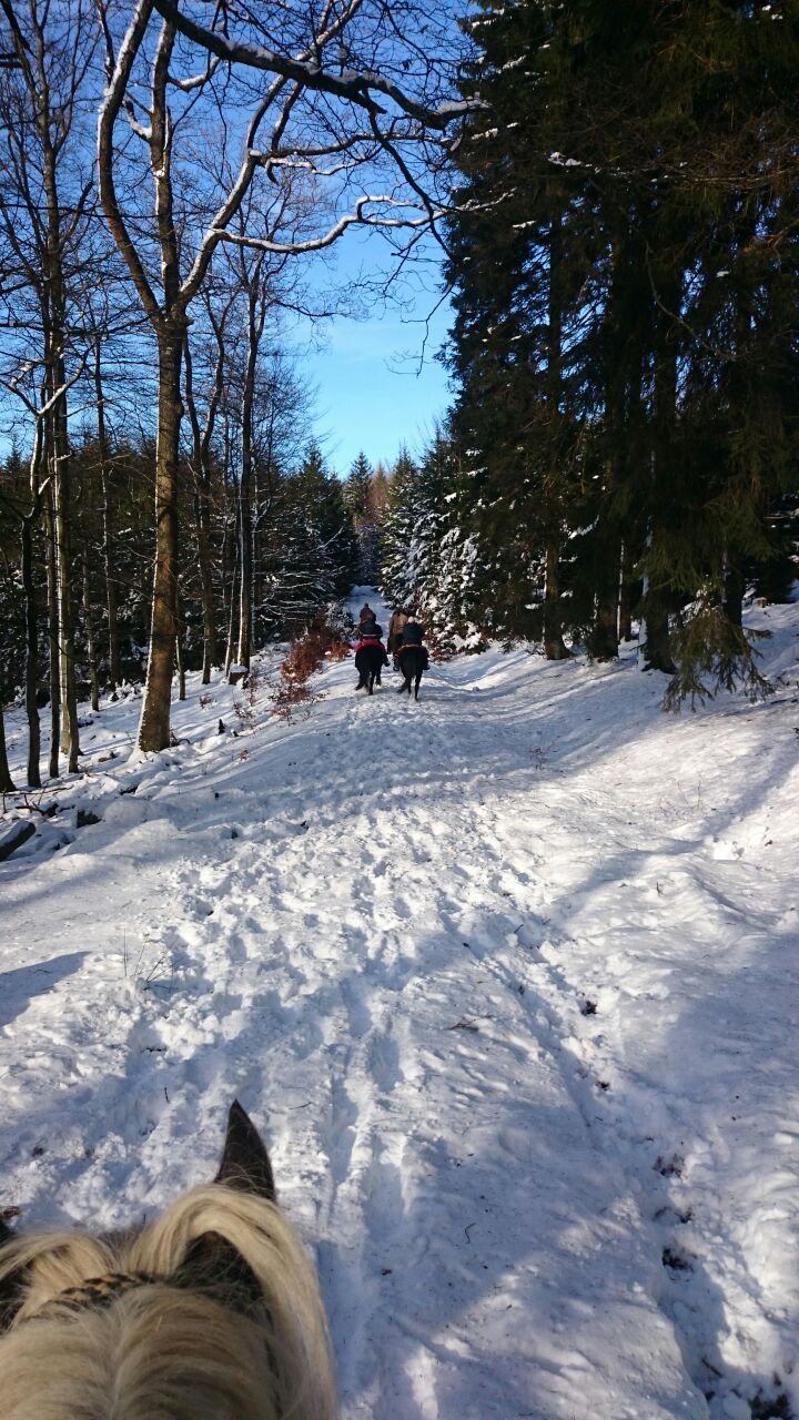  River Ranch, Urlaub für Erwachsene & Jugendliche ab 10 Jahre.