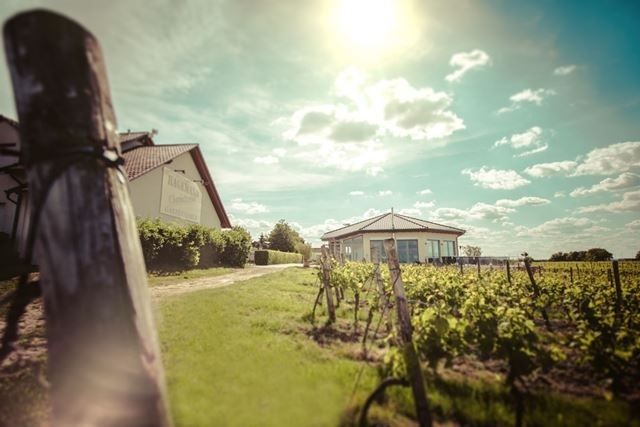 Weingut & Gästehaus Hagemann