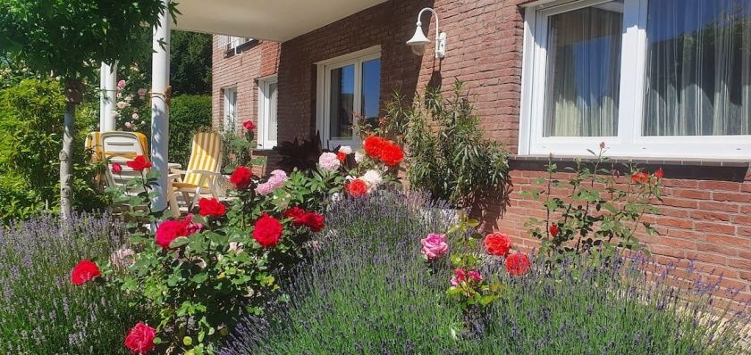 Ferienwohnung Am Heideberg mit sonniger Terrasse