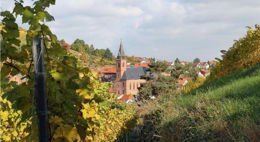 Chalet Pension Weingut & Straußwirtschaft Raabe