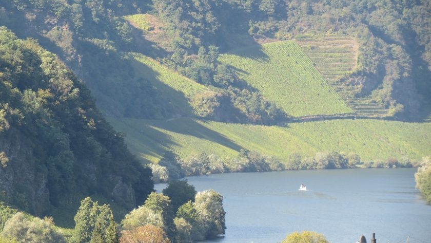 Panoramablick aus Fewo Glockenblume Landhaus Mosel