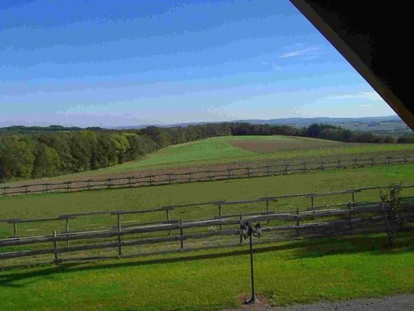 ringsum blau und grün