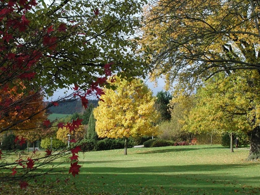 Kurpark Reinhardshausen