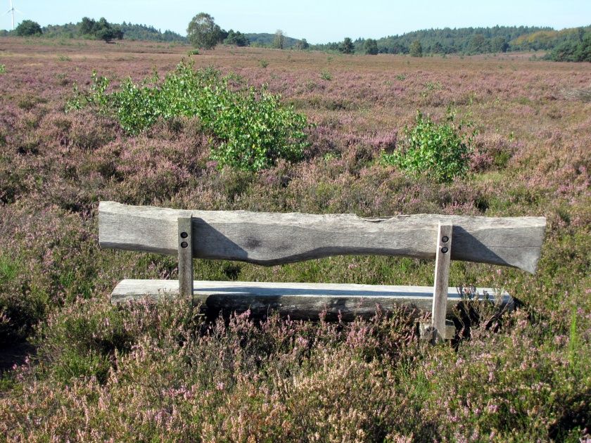 Naturschutzgebiet Mehlinger Heide