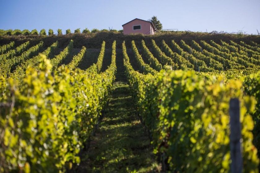 Weingut und Landhaus Reverchon