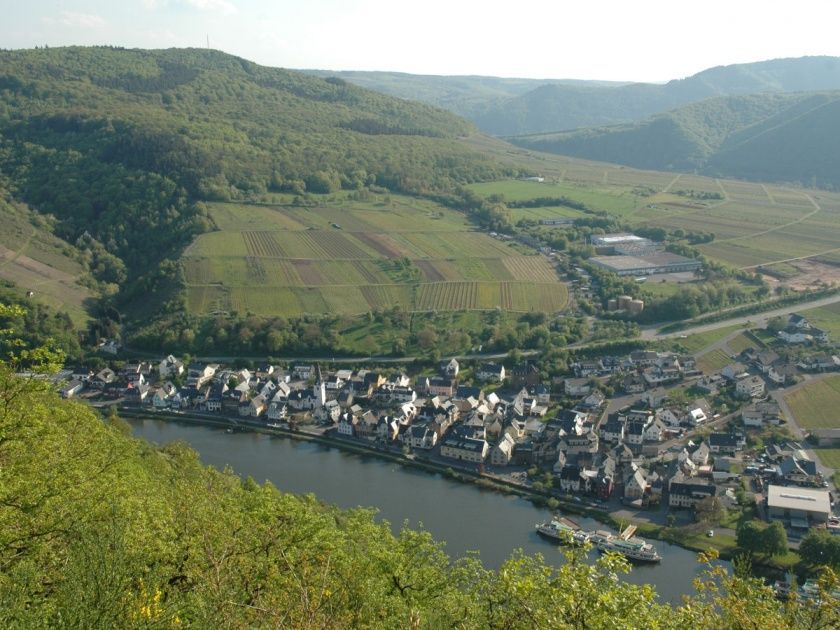 Wein- und Ferienhaus Bauer