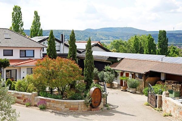 Blick ins Weingut