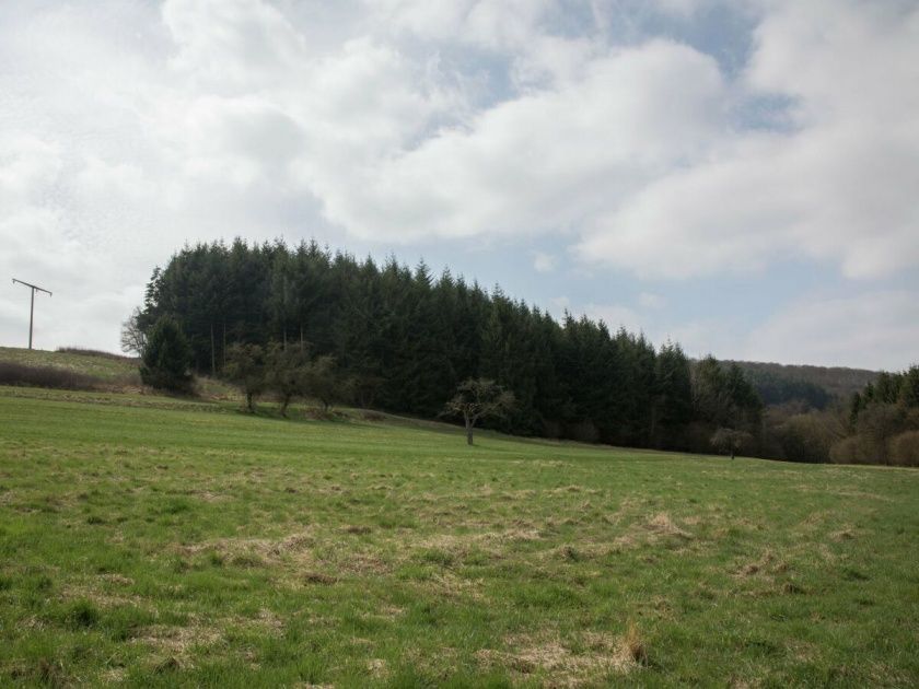 Landhaus im Elzbachtal - nähe Nürburgring