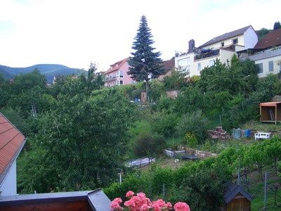 Blick von der Ferienwohnung