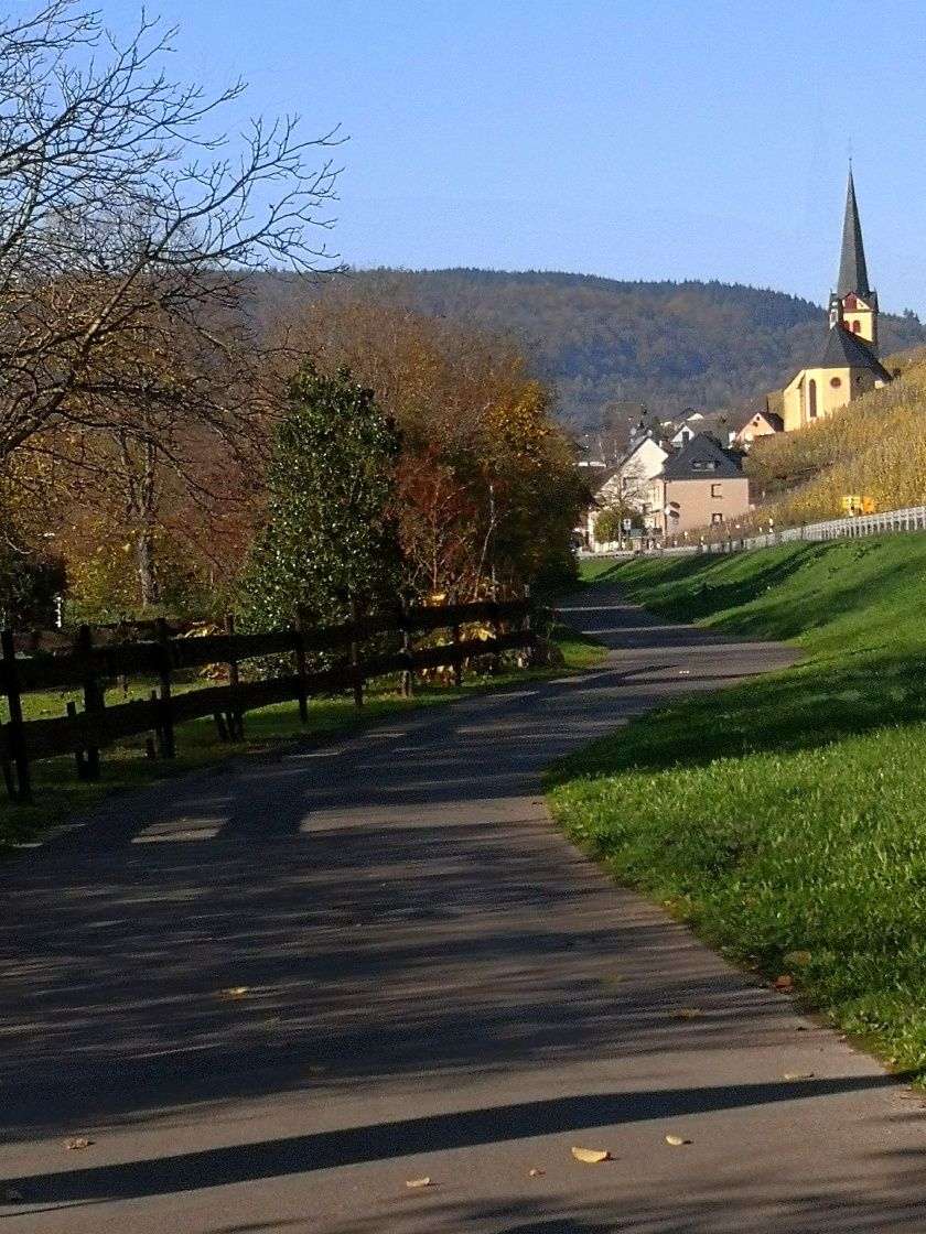 Wanderweg nach Zeltingen