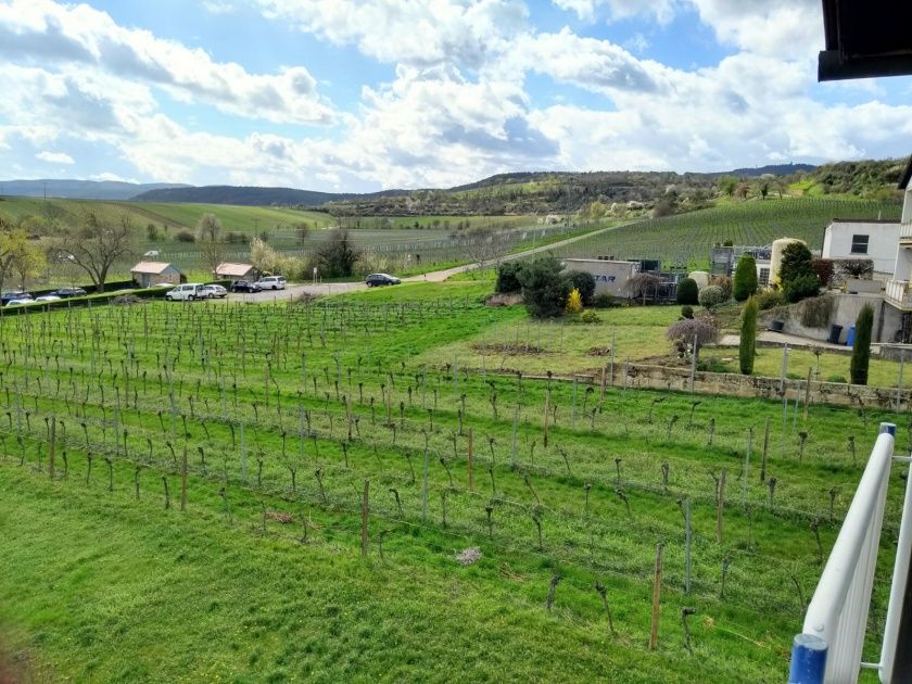 Blick vom Balkon - Frühjahr