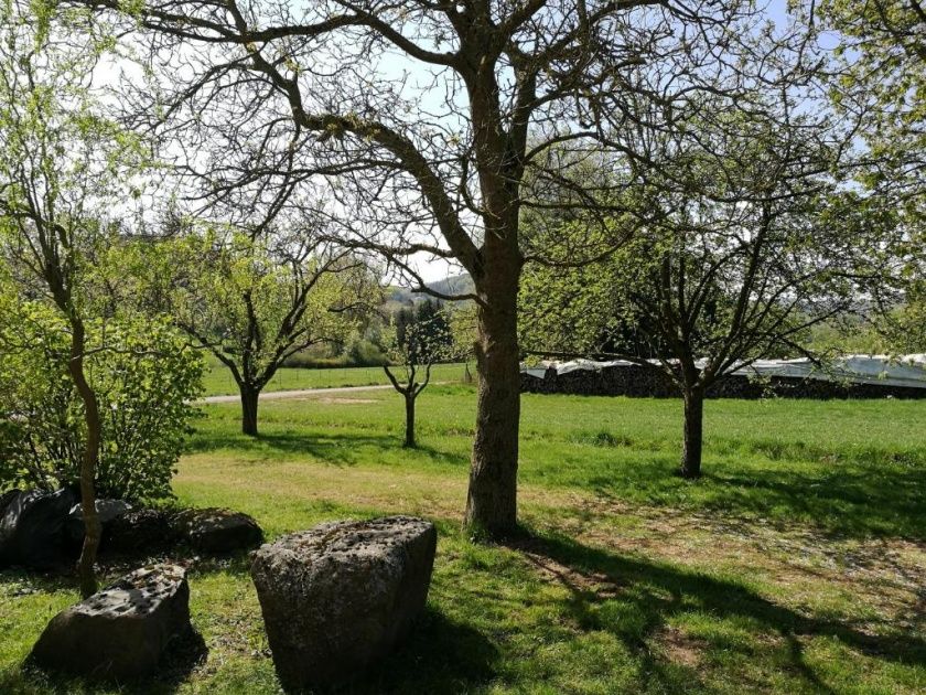 Ferienwohnung am Selberg