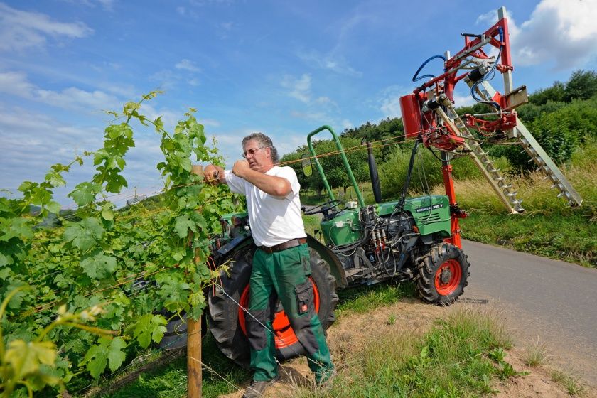 Ferienweingut Brauer